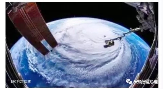 1537501831406865.jpg 640 (1).webp (2).jpg