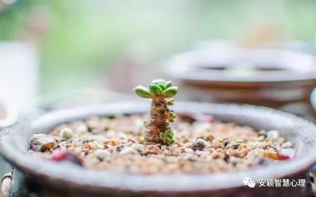 1555639510510495.jpg 640.webp.jpg