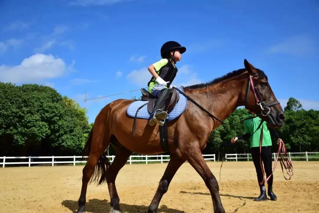 1657097714143764.jpg 14.jpg